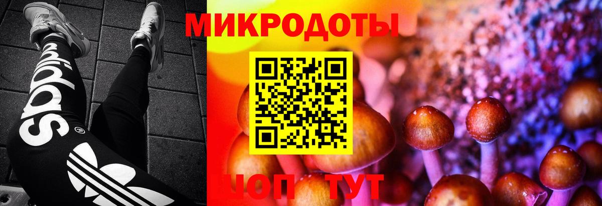 Каспийск  Галлюциногенные грибы прущие грибы  Псилоцибиновые грибы мицелий  Вход с VPN 