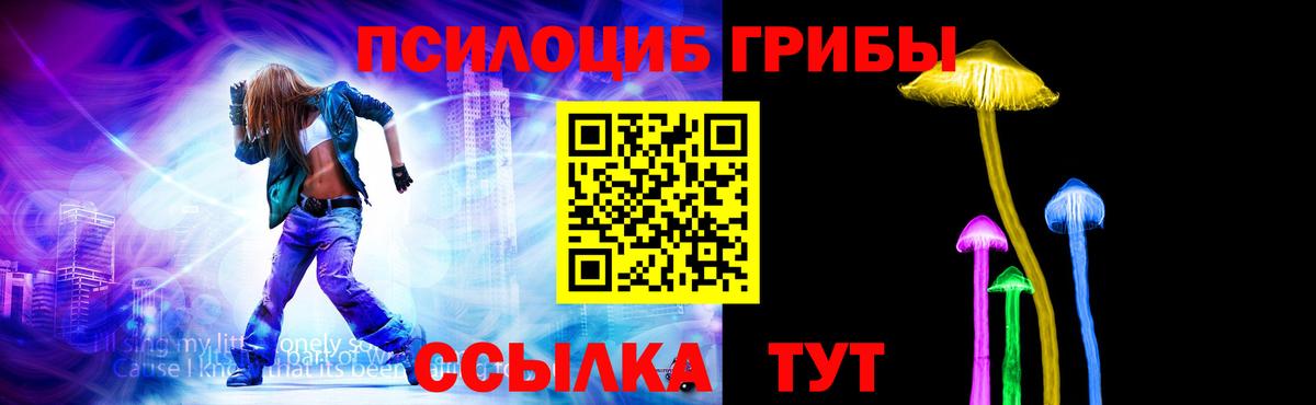 Псилоцибиновые грибы Psilocybine cubensis Каспийск